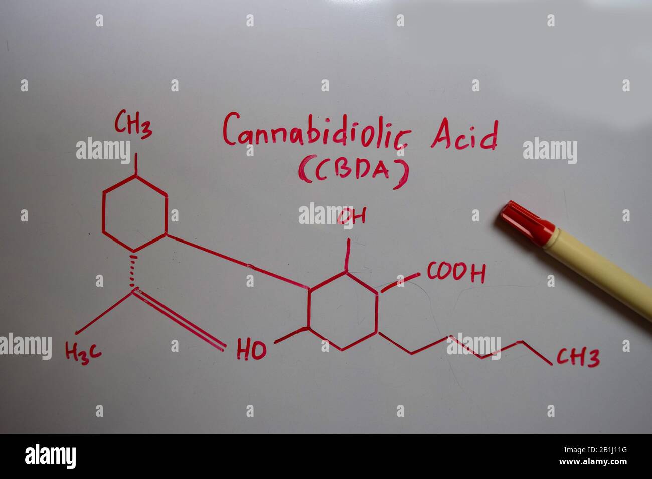 Cannabidiolic (acide LE CBDA) molécule écrit sur le tableau blanc. Formule chimique structurels. Concept de l'éducation Banque D'Images