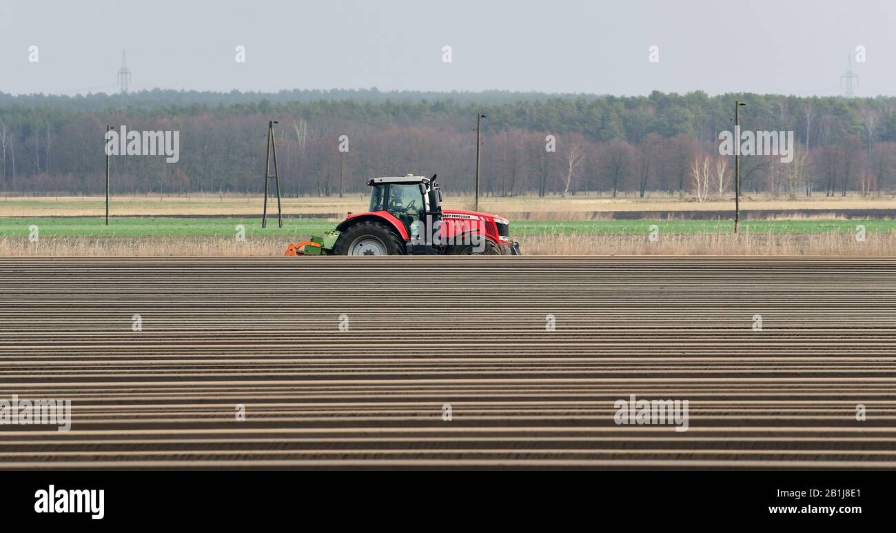 Brandebourg, Allemagne. 25 février 2020. Un champ d'asperges a été aménagé à côté de la route nationale de l' gauche 88 menant à l'Emstal. Les crêtes d'asperges ont été créées mécaniquement à l'aide d'un coupe-arête par tracteur. Après l'accumulation, les barrages sont couverts de feuille, qui a un côté blanc pour le refroidissement et un côté noir pour le chauffage. Photo: Soeren Stache/dpa-Zentralbild/ZB crédit: DPA Picture Alliance/Alay Live News Banque D'Images