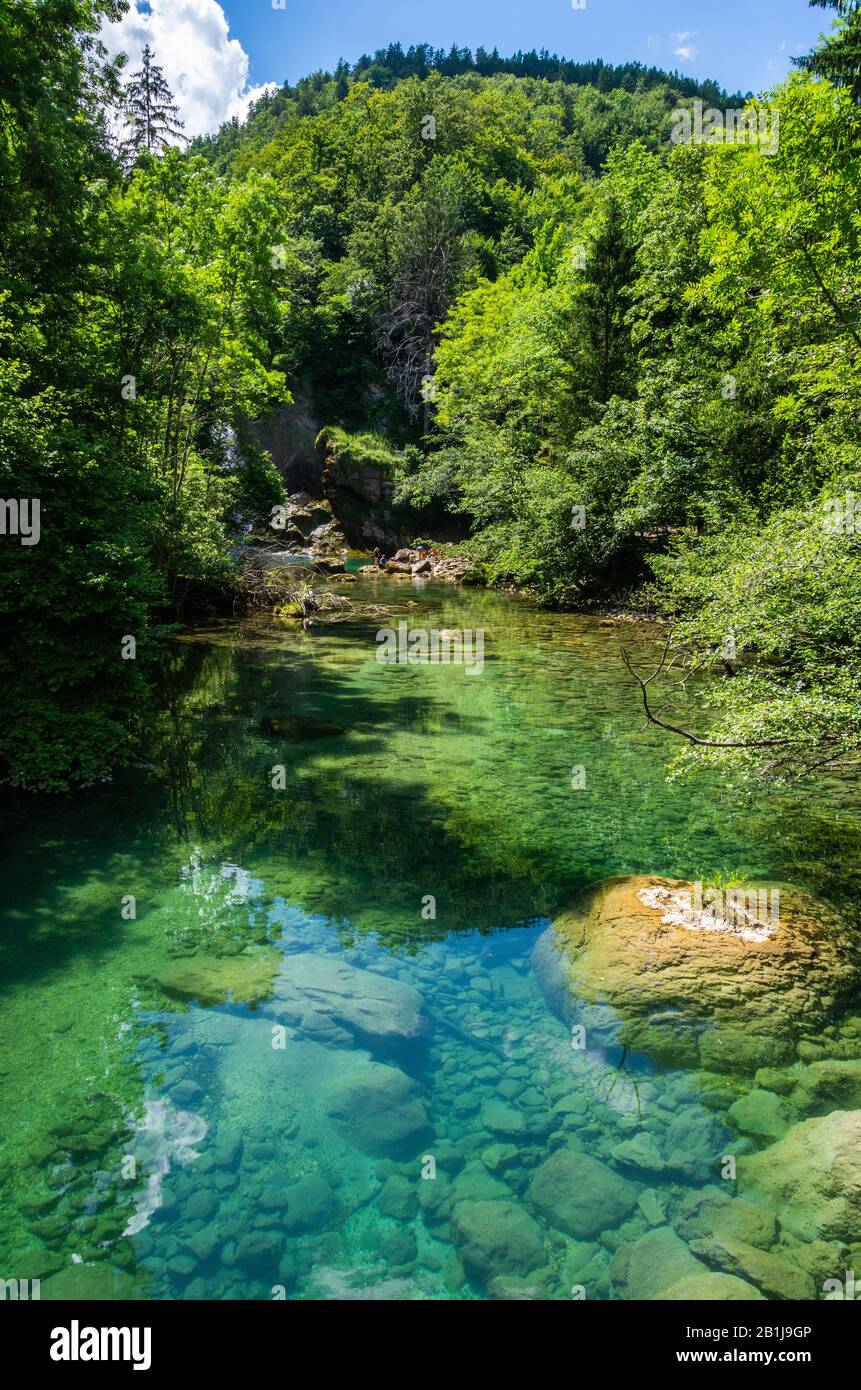 Paysage dans la gorge de Vintgar (Soteska Vintgar) près de la ville de Bled en Slovénie, avec des eaux cristallines de la rivière Radovna. Banque D'Images