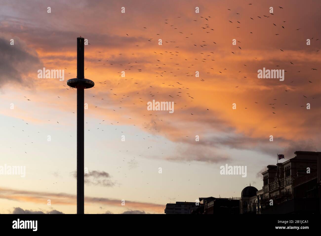 L' i360 à Brighton au coucher du soleil avec des mouettes Banque D'Images