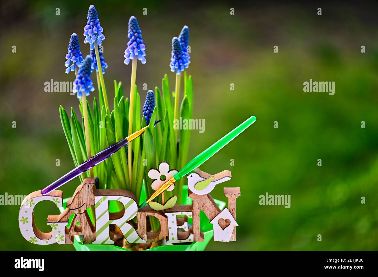 Panneau en bois avec le jardin de texte devant les hyacinthes de raisin pourpre au soleil. Deux formes colorées symbolisent les couleurs fortes de la nature. Banque D'Images
