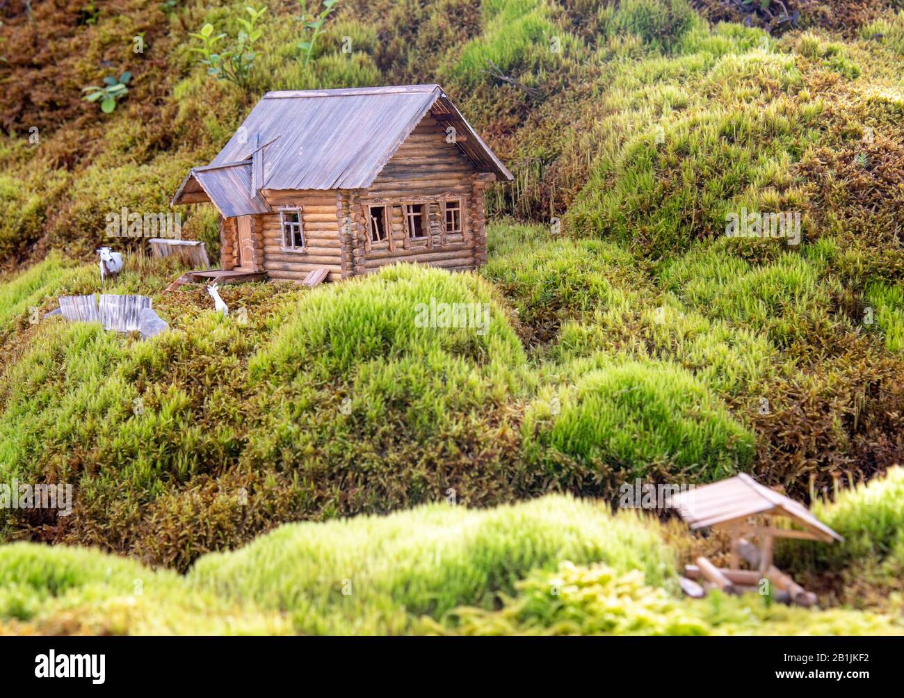 Une figurine miniature d'une maison en bois et le puits sont entourés d'un paysage vallonné artificiellement créé de mousse. Banque D'Images