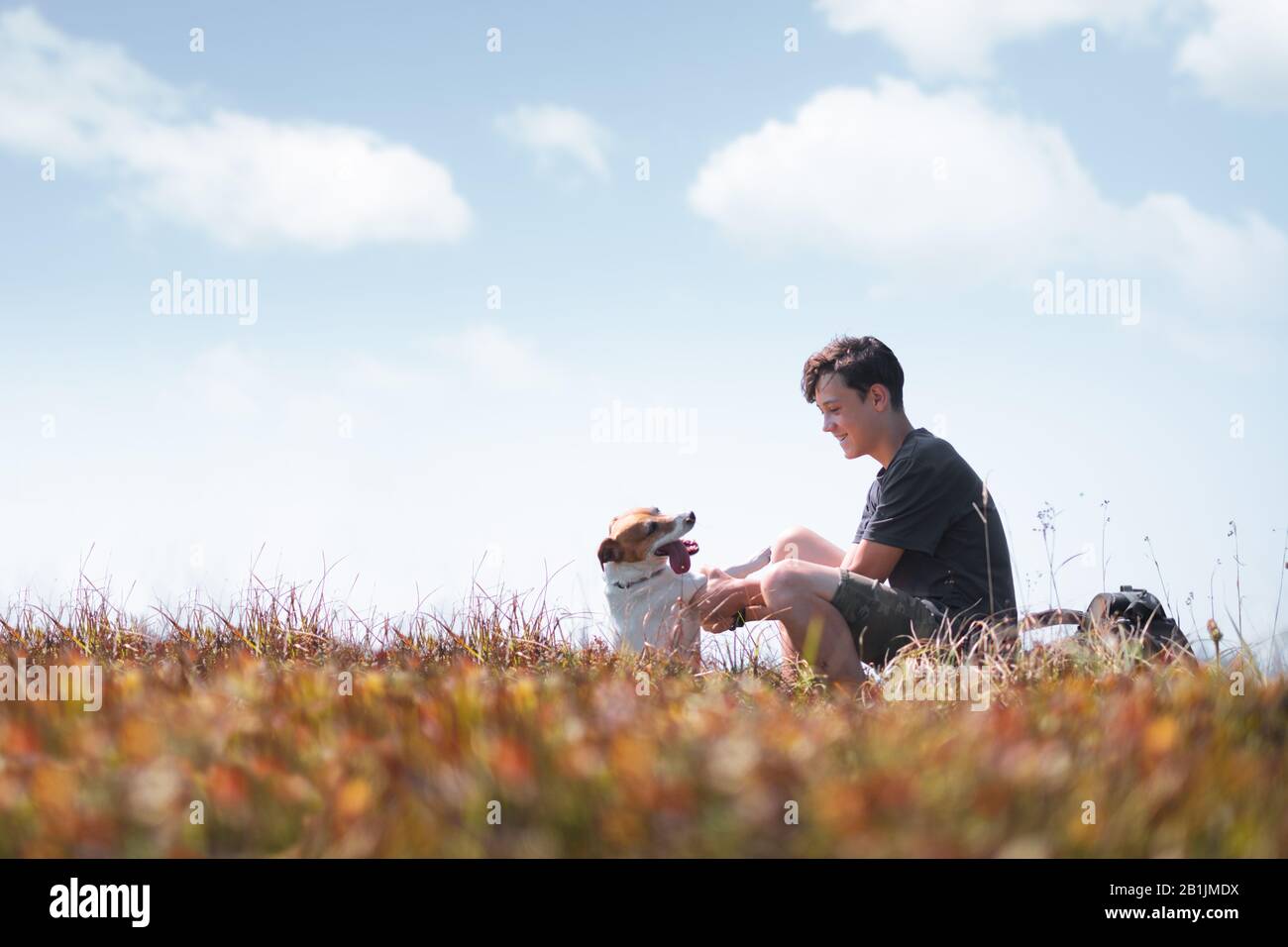 Adolescent sur la pelouse d'automne avec petit chien blanc. L'amitié et travel concept Banque D'Images