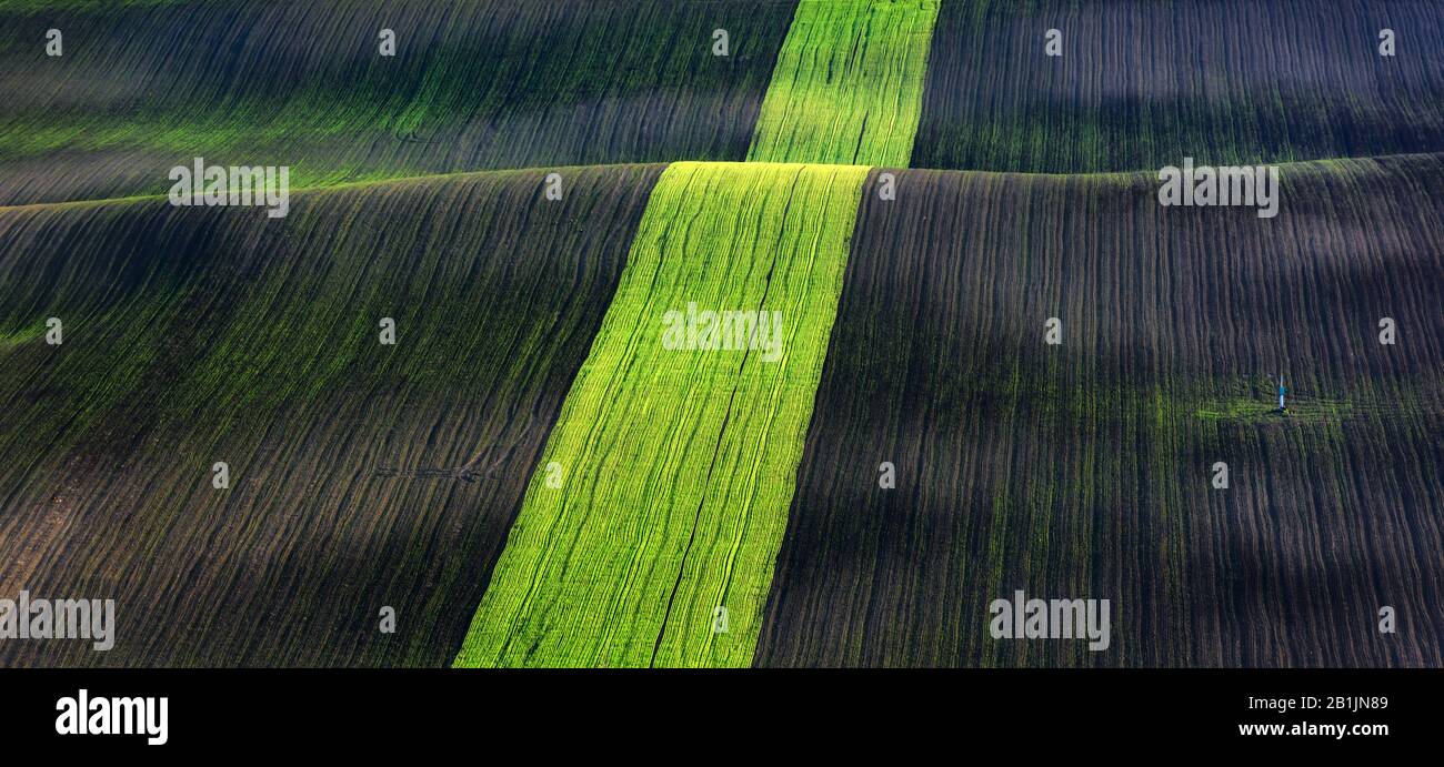 Paysage rural de printemps avec des collines colorées à rayures. Vagues vertes et brunes des champs agricoles de la Moravie du Sud, République tchèque. Peut être utilisé comme fond de nature ou texture Banque D'Images
