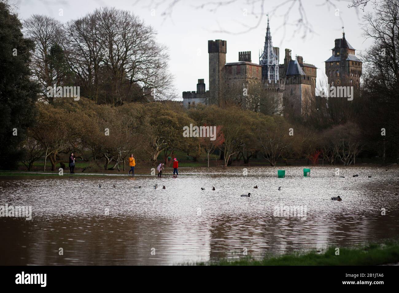 Cardiff, PAYS DE GALLES, 17 février 2020. Storm Dennis inondations Bute Park avec de nombreuses autres rivières dans tout le pays de Galles. Banque D'Images