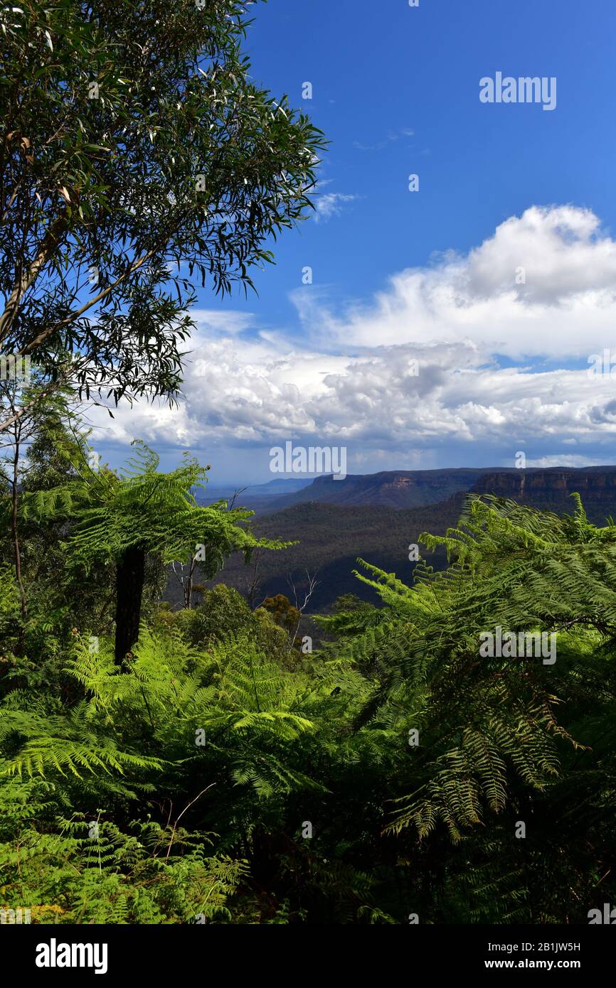 Vue sur les montagnes Bleues à Katoomba tout en prenant La Promenade Prince Henry. Banque D'Images