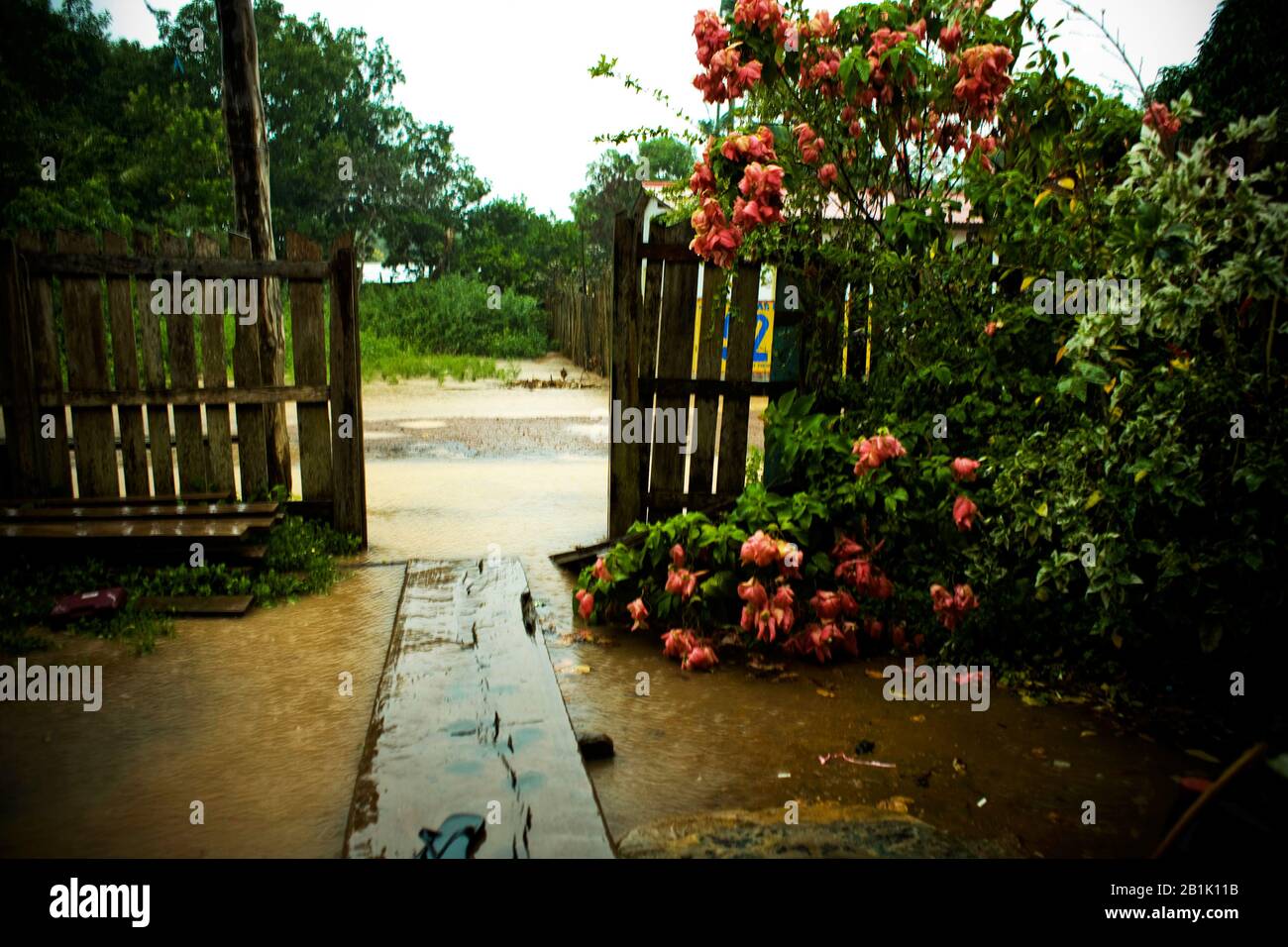 Entrée, Jardin, Novo Airão, Amazonas, Brésil Banque D'Images