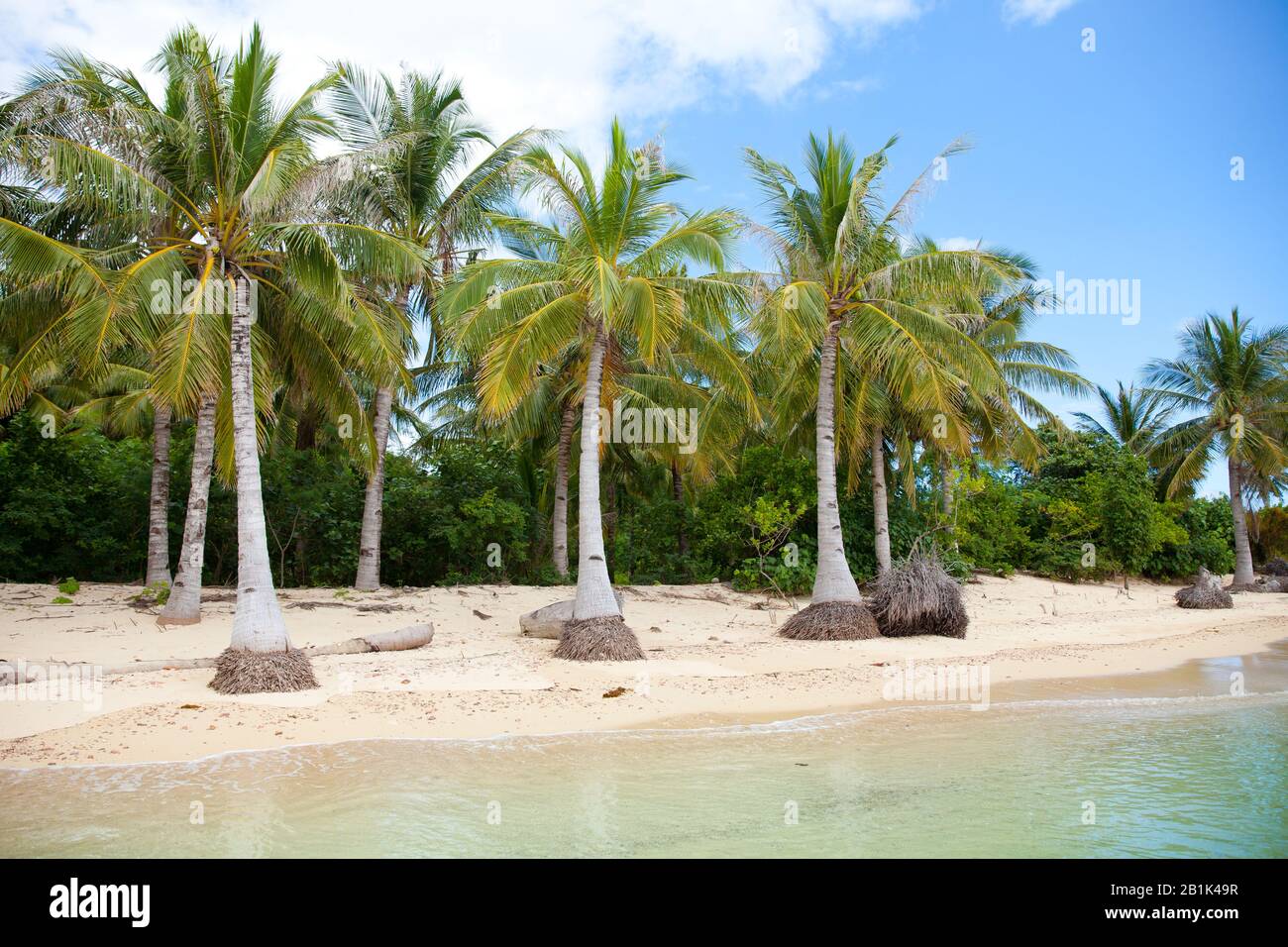 Plage de sable blanc et palmiers. Plage déserte. Îles Caramoan, Philippines. Banque D'Images