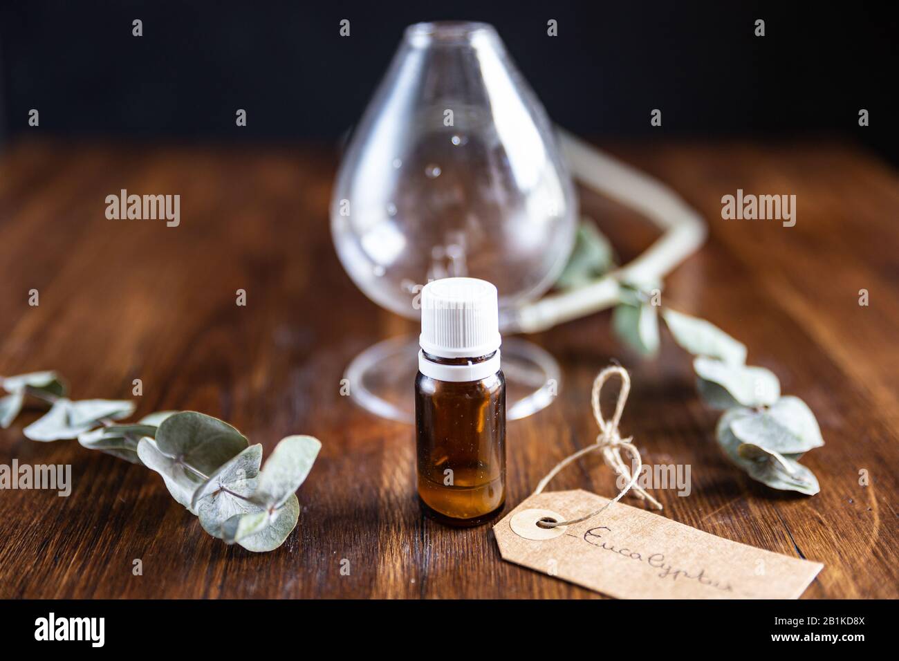 bouteille d'huile essentielle d'eucalyptus avec diffuseur et étiquette Banque D'Images