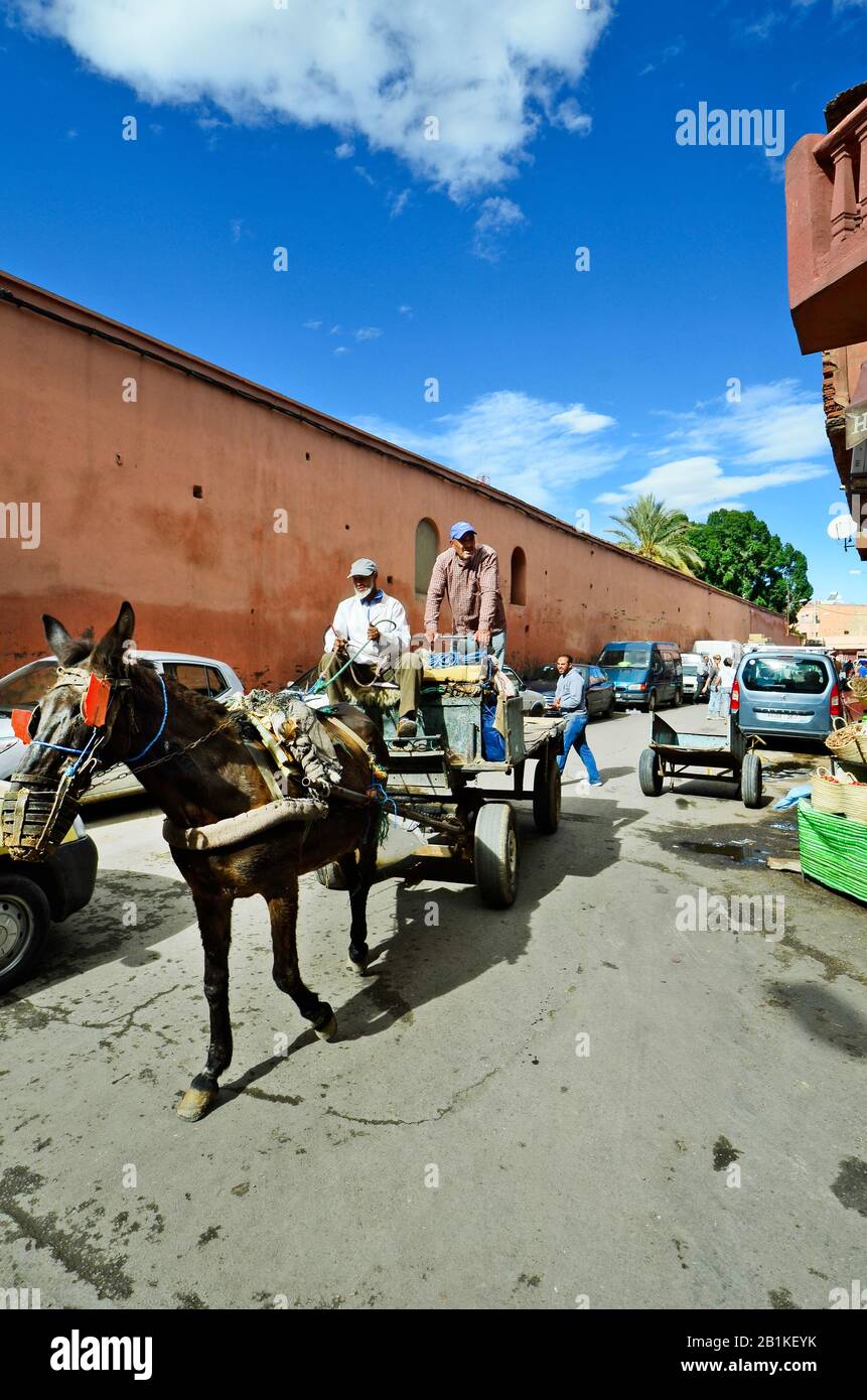 Marrakech, Maroc - 22 novembre 2014 : personnes non identifiées sur chariot âne, mode de transport habituel Banque D'Images