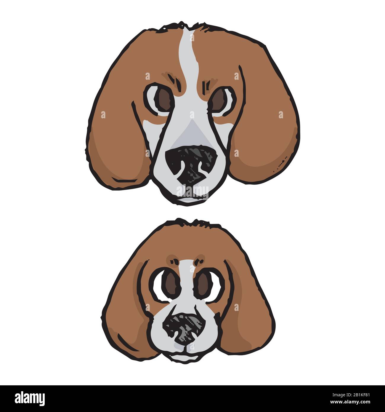 Jolie Bande Dessinee Chiot Foxhound Et Chien De Chasse Adulte Visage Vecteur Clipart Pedigree Chenil Bebe Chien Race Pour Les Amoureux De Chien Chien De Race Pure Pour Animal De Compagnie Image