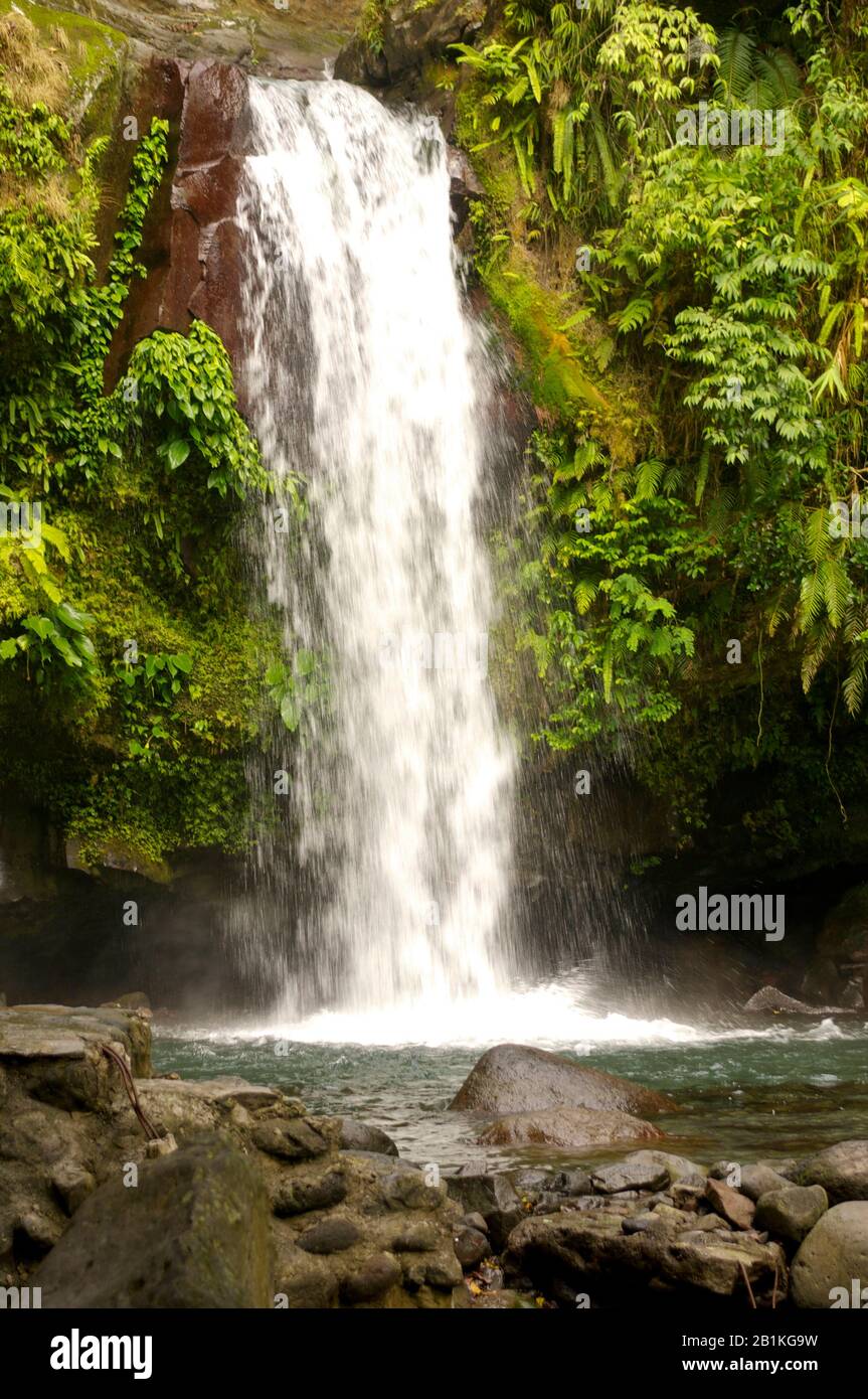 Les chutes de Dampali sont une destination touristique locale pour ceux qui vivent dans la région de Los Banos. Proche de Manille, il a attiré les touristes locaux. Banque D'Images