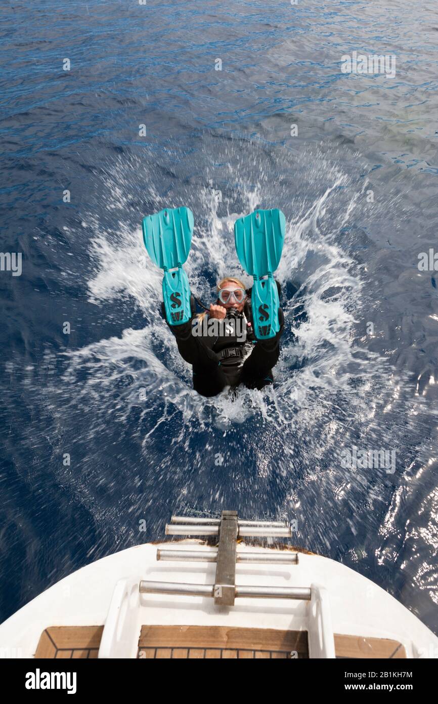 Plongée Sous-Marine En Polynésie Française, Fakarava, Tuamotu Archipel, Polynésie Française Banque D'Images
