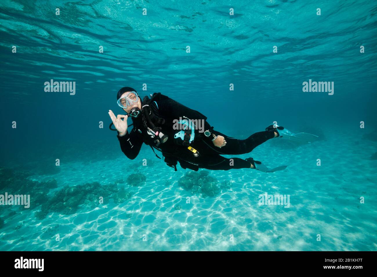 Plongée Sous-Marine En Polynésie Française, Fakarava, Tuamotu Archipel, Polynésie Française Banque D'Images