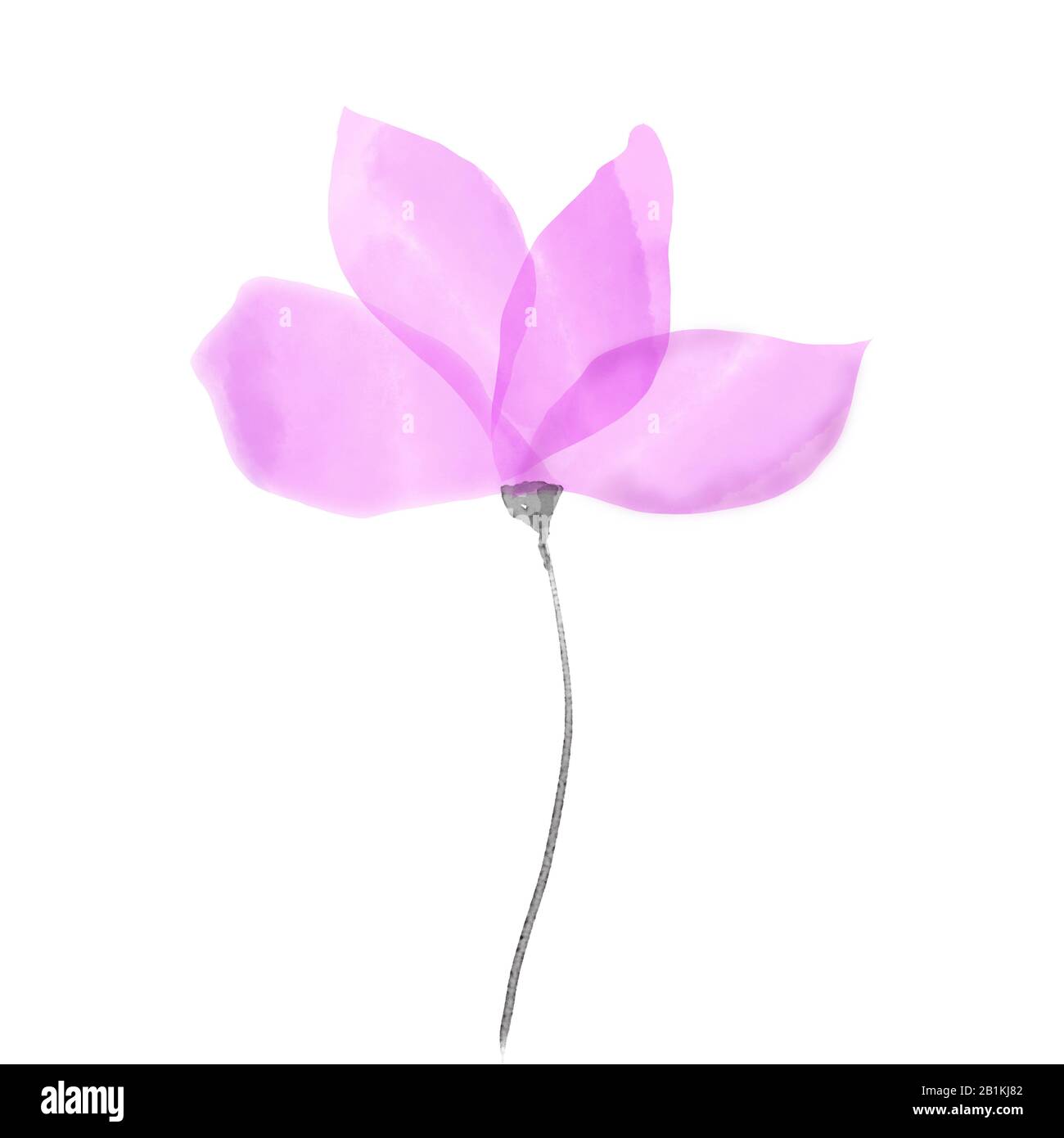 Peinture artistique violette de fleur d'aquarelle isolée sur fond blanc. Illustration avec des couleurs éthérées sous-dulées. Banque D'Images