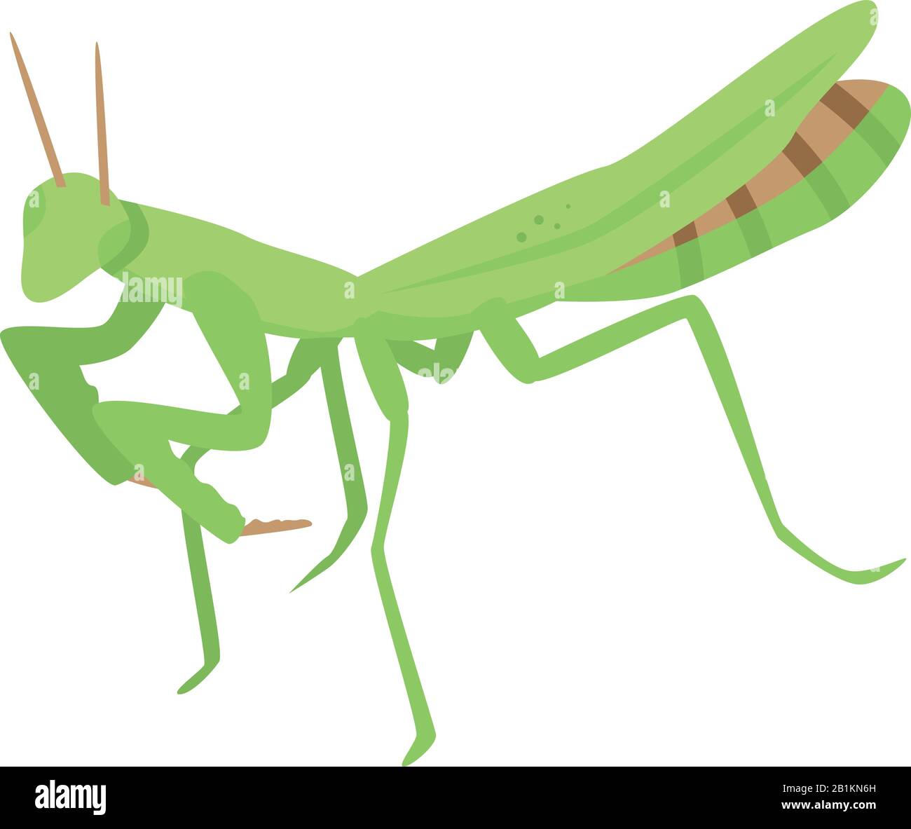 Icône de mantis vert, style isométrique Illustration de Vecteur
