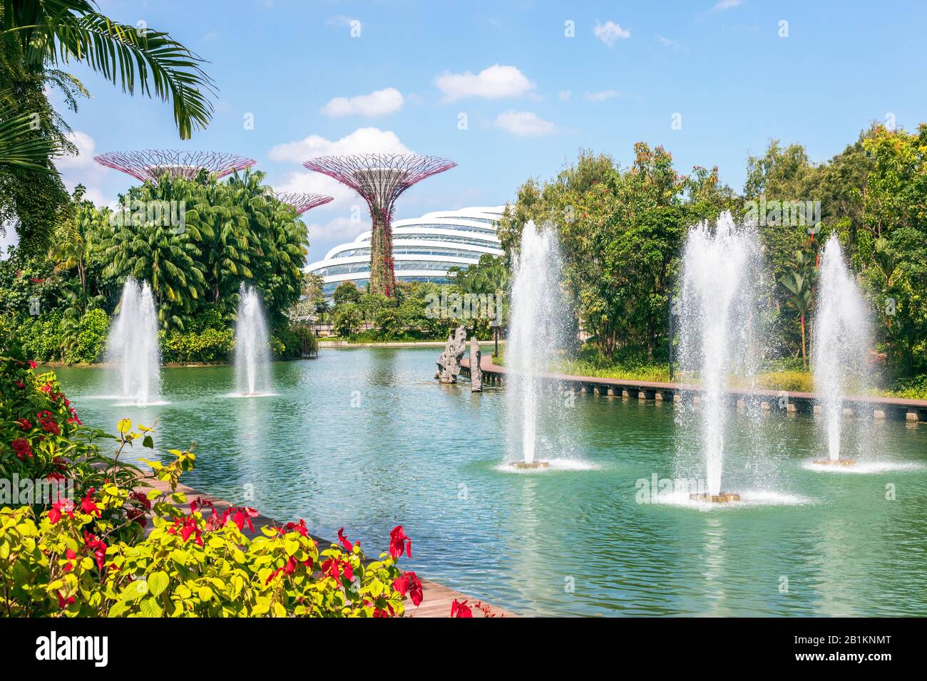 Fontaines d'eau dans les jardins sur la baie, Singapour avec la forêt de superarbres et la véranda plus fraîche en arrière-plan, Singapour, Asie Banque D'Images