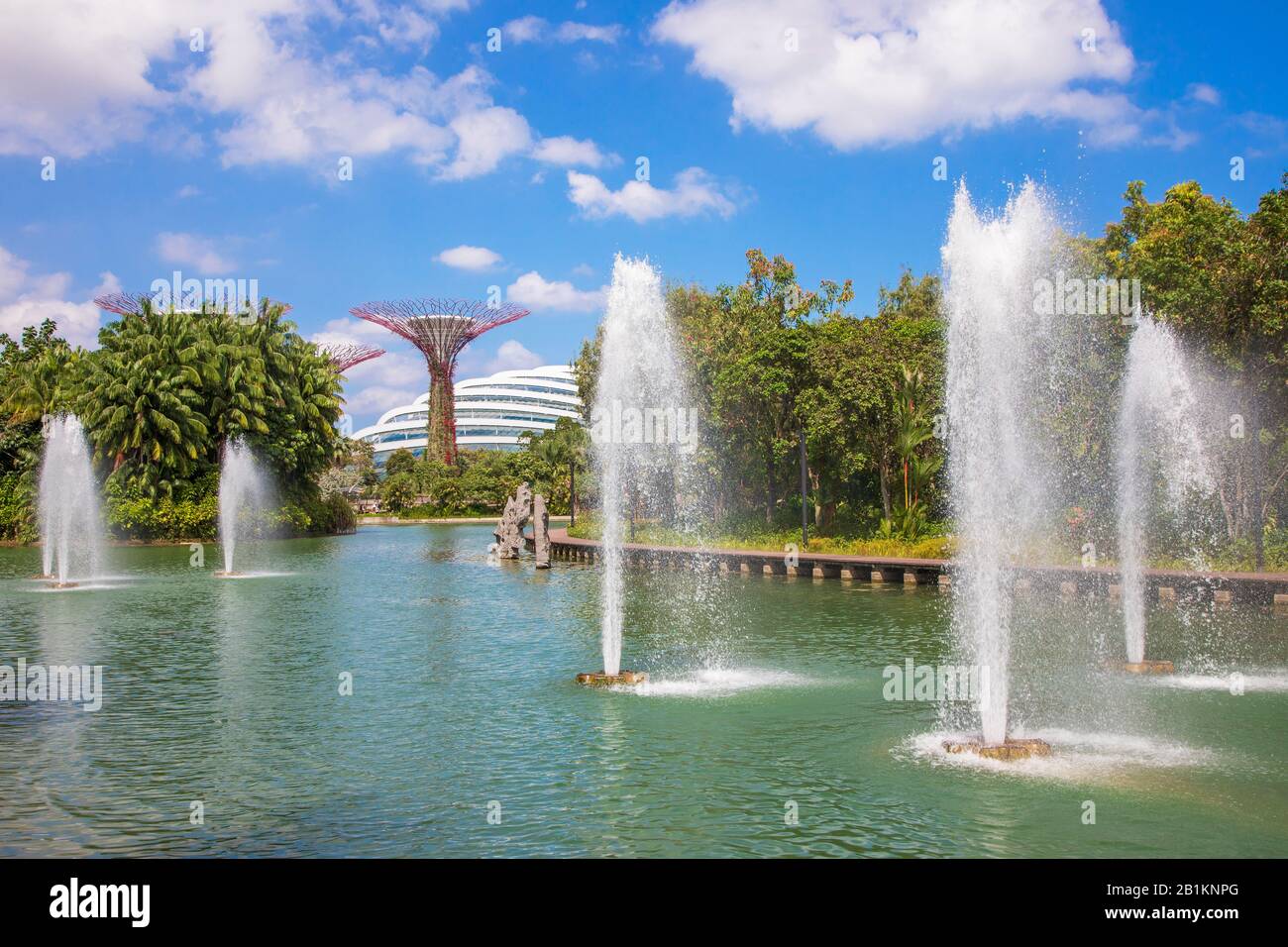 Fontaines d'eau dans les jardins sur la baie, Singapour avec la forêt de superarbres et la véranda plus fraîche en arrière-plan, Singapour, Asie Banque D'Images