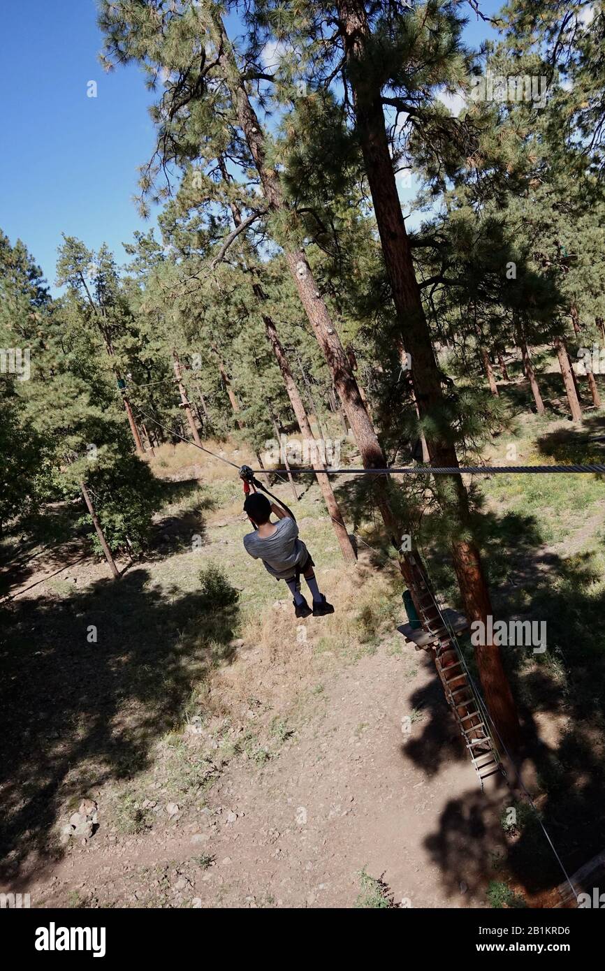 Un jeune garçon passe la doublure zippée parmi les grands pins de Flagstaff, en Arizona. Banque D'Images