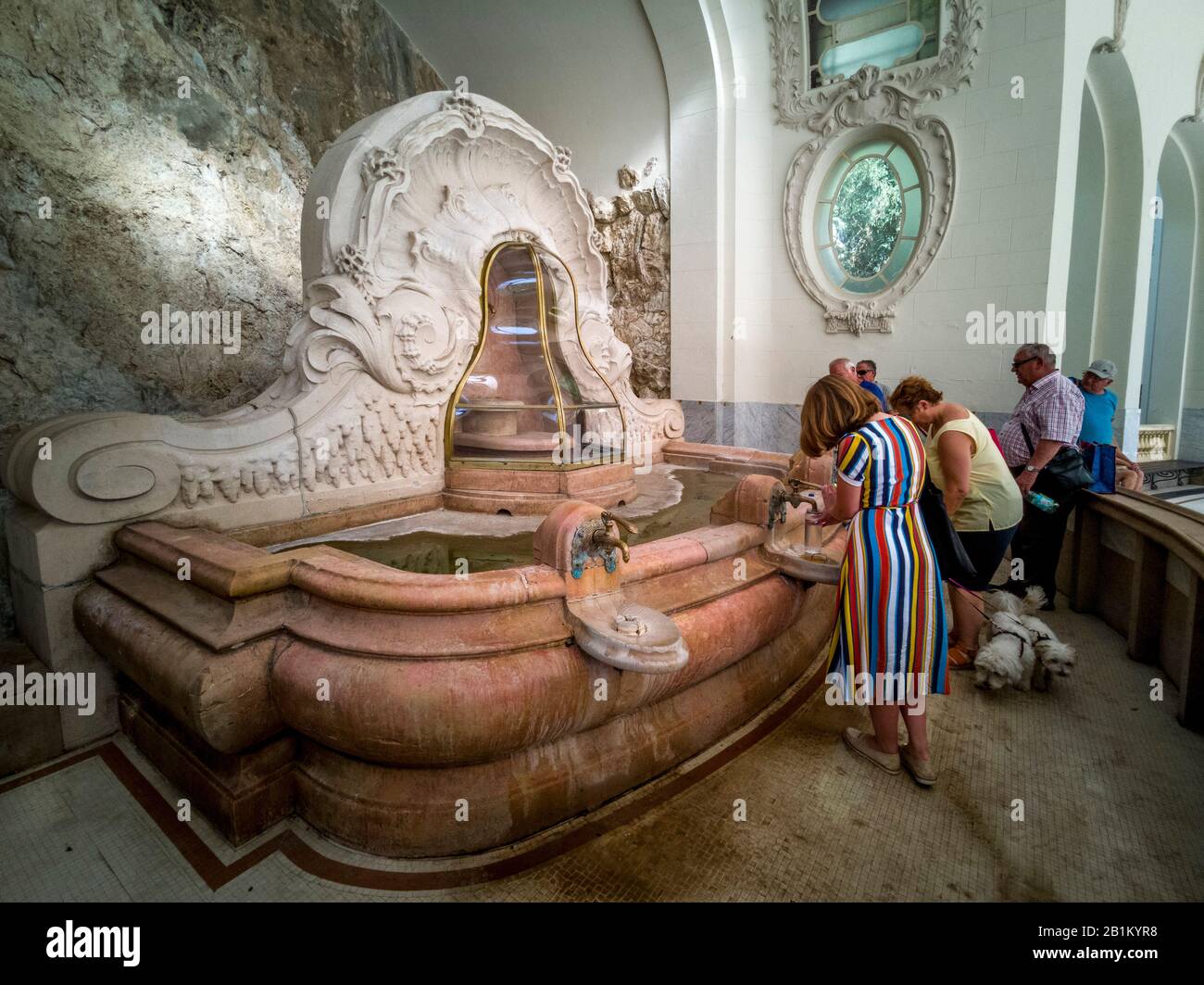 Ville thermale de Vichy. Le printemps de Célesting (Source des Celestins), département d'Allier, Auvergne Rhône Alpes, France Banque D'Images