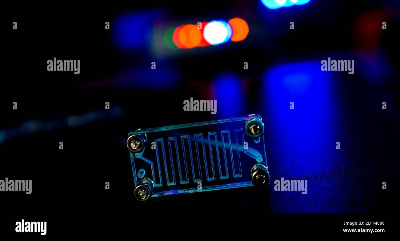 Organe-sur-puce (OOC) - dispositif microfluidique puce qui simule les organes biologiques c'est le type d'organes artificiels. Conception de prototypes de laboratoires sur puce Banque D'Images