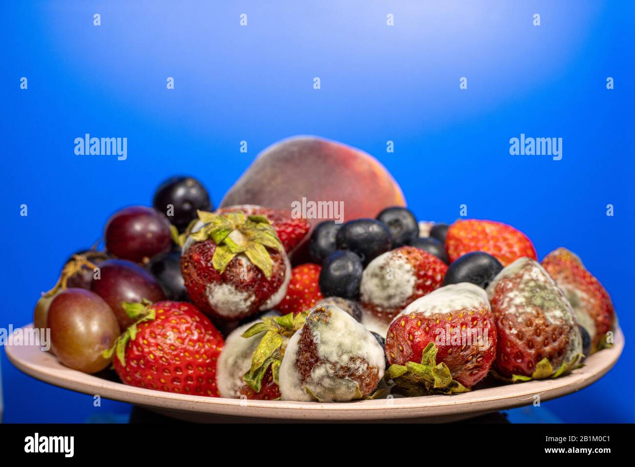 Les fruits et les baies dans une tasse et moisis pourris Banque D'Images