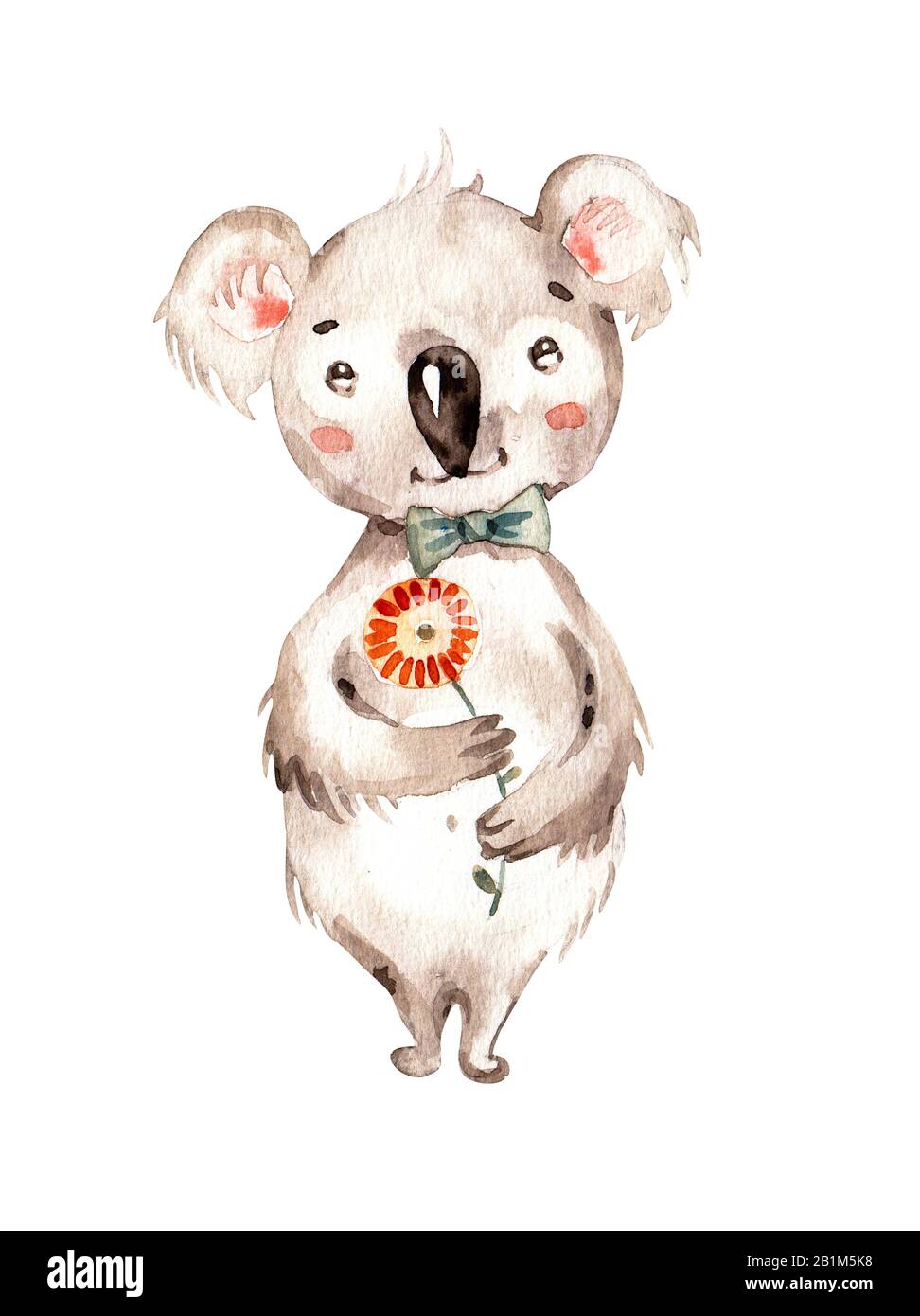 Mignon petit animal animal koala.Aquarelle pépinière peinture à la main enfants garçon fille illustration. Clipart de boho. Faune dessinée à la main isolée Banque D'Images