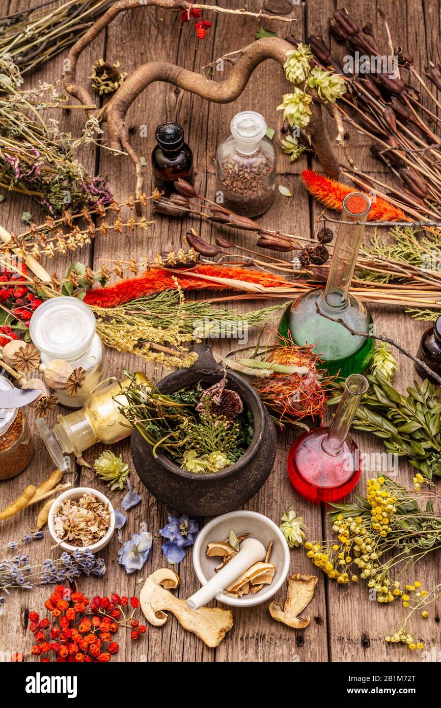 Laboratoire des sorcières. Équipement alchimique, traitement apothécaire. Mortier et pilon, bouteilles, poudres, herbes sèches. Concept Halloween, vieux panneaux en bois b Banque D'Images