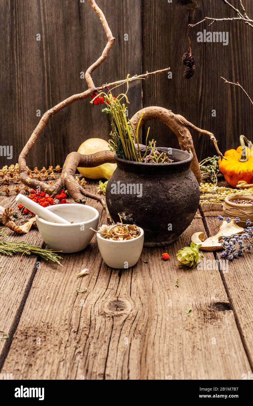 Laboratoire des sorcières. Équipement alchimique, traitement apothécaire. Mortier et pilon, pot vintage, poudres, herbes sèches. Concept Halloween, vieux boar en bois Banque D'Images