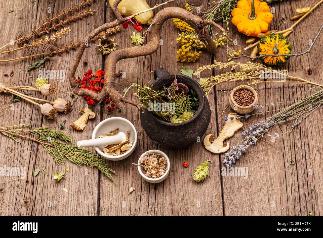 Laboratoire des sorcières. Équipement alchimique, traitement apothécaire. Mortier et pilon, pot vintage, poudres, herbes sèches. Concept Halloween, vieux boar en bois Banque D'Images