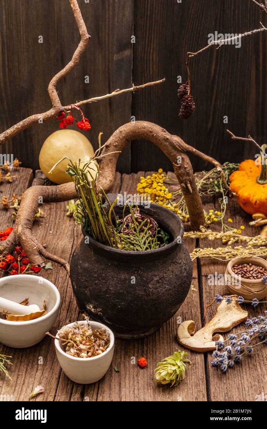 Laboratoire des sorcières. Équipement alchimique, traitement apothécaire. Mortier et pilon, pot vintage, poudres, herbes sèches. Concept Halloween, vieux boar en bois Banque D'Images