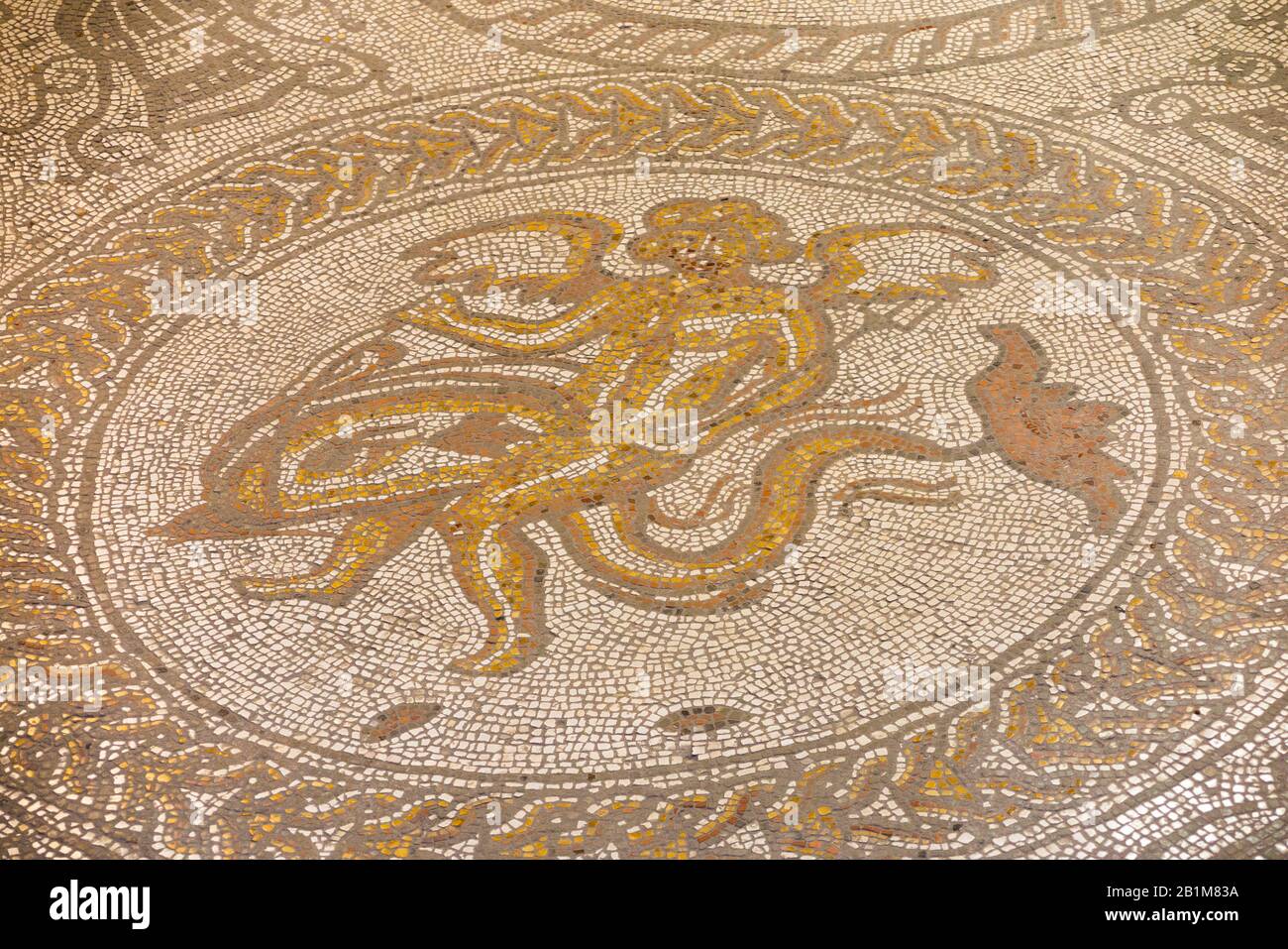 Cupid et une mosaïque de dauphins / mosaïques en parfait état, dans une villa romaine. Palais Romain De Fishbourne. Fishbourne, Chichester, West Sussex. ROYAUME-UNI (114) Banque D'Images