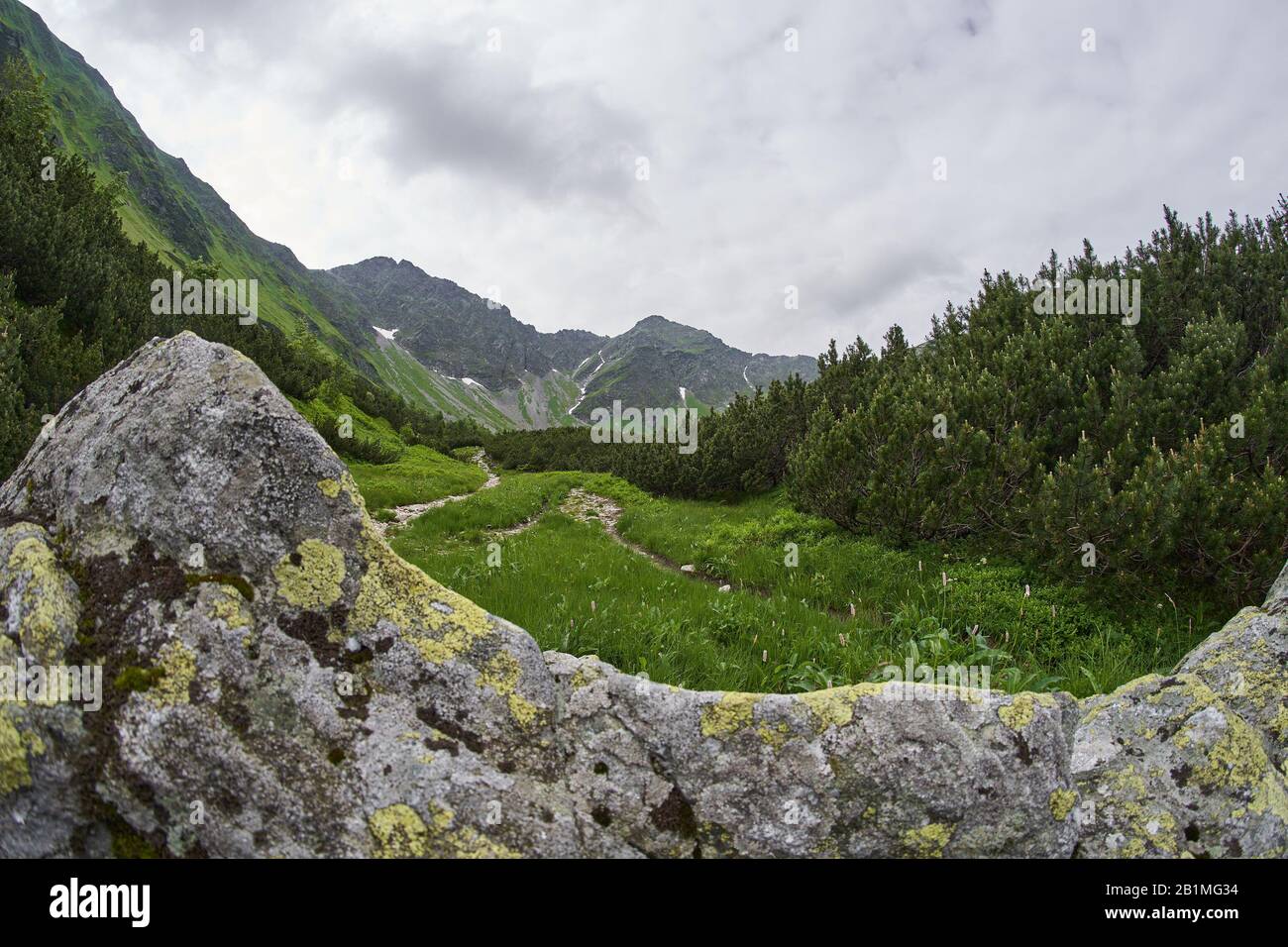 Montagnes West High Tatras, Slovaquie en été avec ciel nuageux Banque D'Images