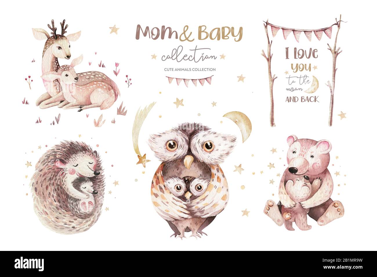 Aquarelle Petite Chouette Ours Cerf Et Herisson Bebe Et Mere Aquarelle Carte De Pepiniere Foret Drole Jeunes Animaux Illustration Maman Et Bebe Photo Stock Alamy