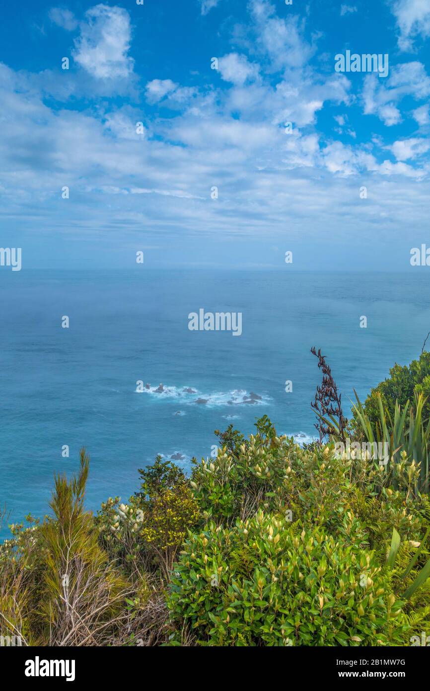 Récif sur la rive de la mer malteuse de Tasmanie, Nouvelle-Zélande. Photo libre de droit. Banque D'Images