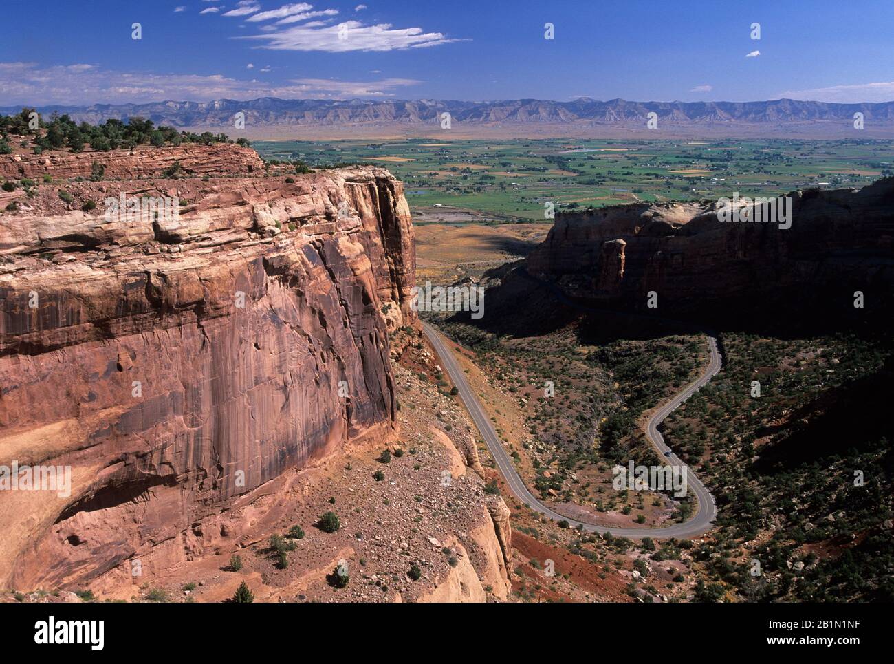 Vue Sur Le Canyon De Fruita, Monument National Du Colorado, Colorado Banque D'Images