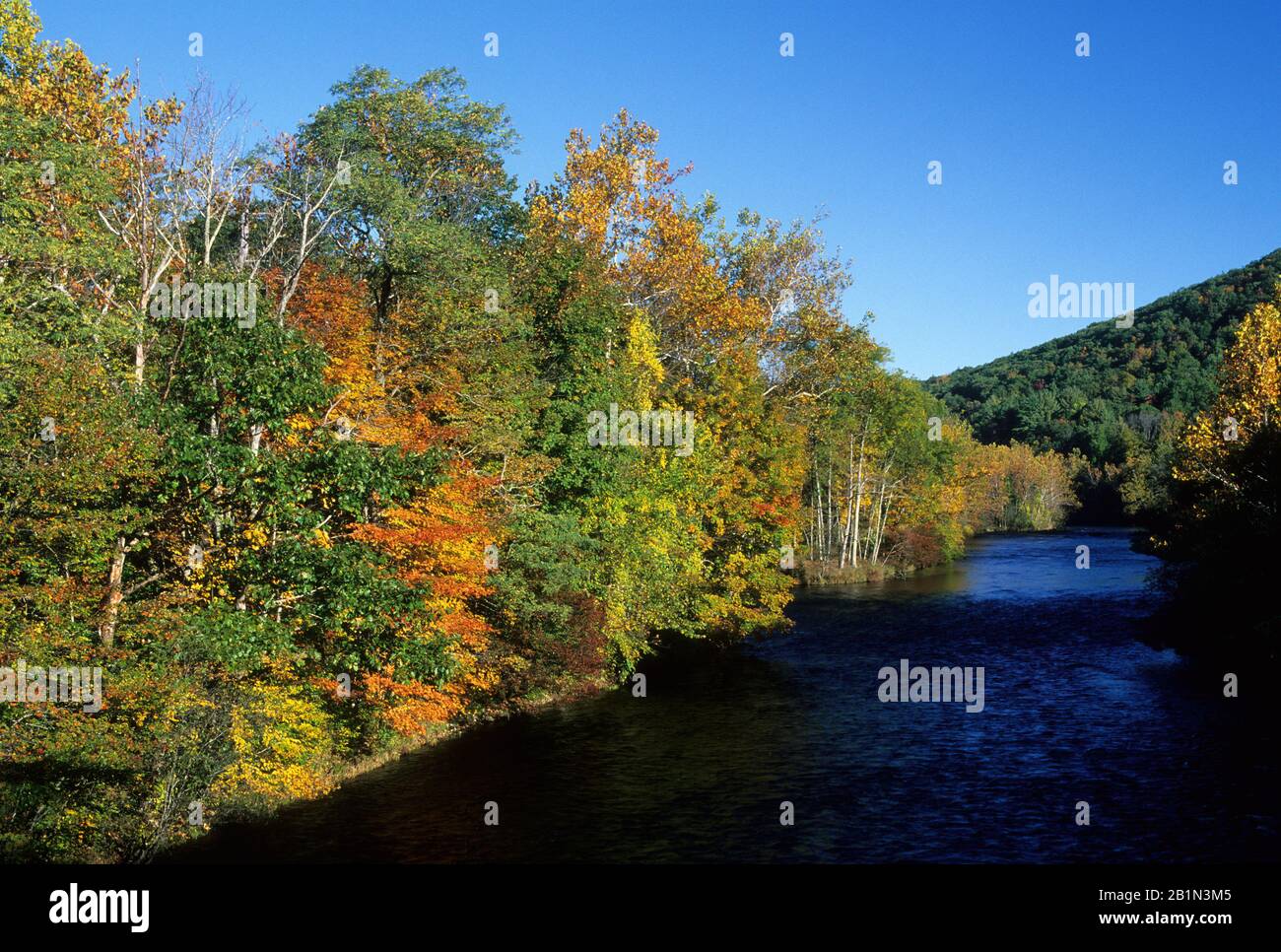 Farmington Wild Et Scenic River, American Legion State Forest, Connecticut Banque D'Images