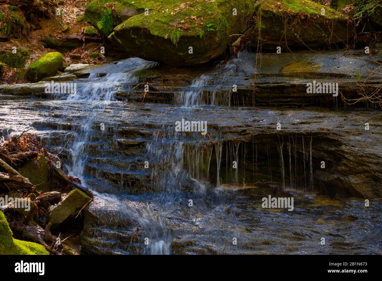 La rivière Sipsey et un affluent coulaient magnifiquement en début de printemps après-midi. La rivière Sipsey traverse la forêt nationale de Bankhead. Banque D'Images