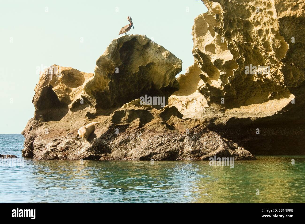 Côte de l'île Bartolome, Équateur, îles Galapagos Banque D'Images