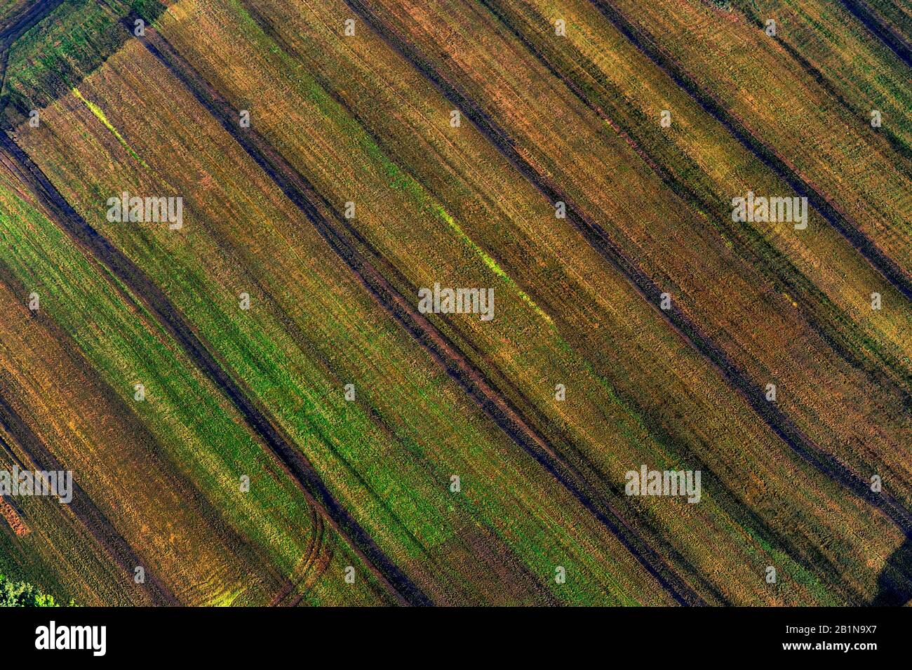 Fiel fertilisé, photo aérienne, Allemagne, Schleswig-Holstein, Mitte Geest Banque D'Images