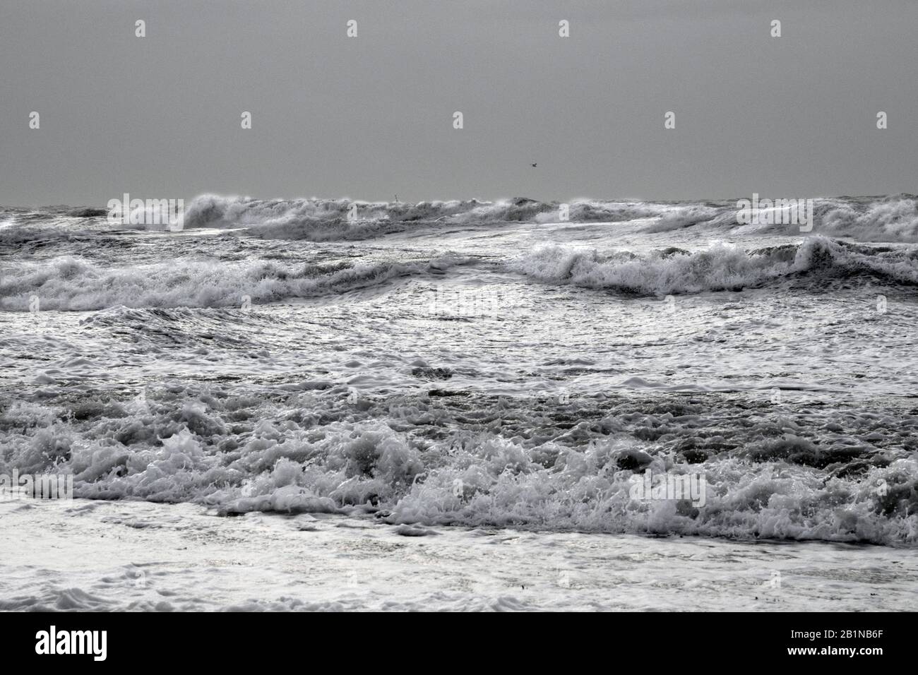 Surfez en mer du Nord par temps de tempête, Pays-Bas, Den Helder Banque D'Images