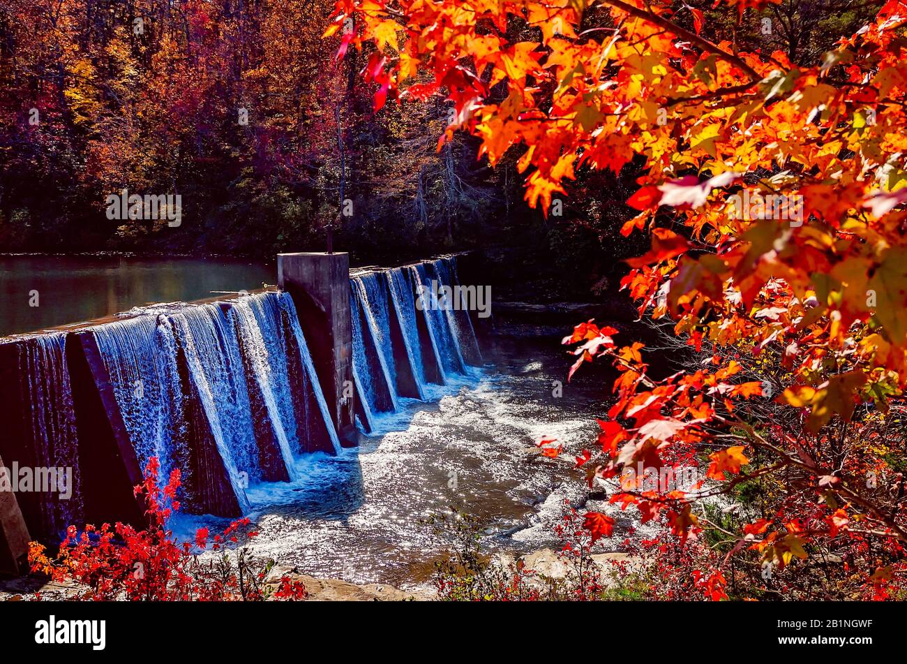 Les feuilles d'automne offrent une touche de couleur aux chutes DeSoto, le 4 novembre 2017 à Mentone, en Alabama. Banque D'Images