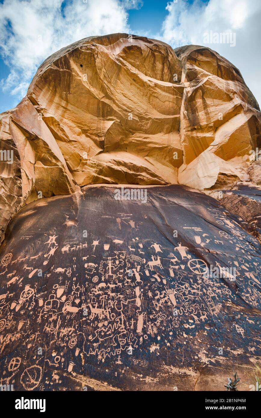 Pétroglyphes américains indigènes au parc historique régional de Newspaper Rock, Indian Creek Unit, monument national Bears Ears, Utah, États-Unis Banque D'Images