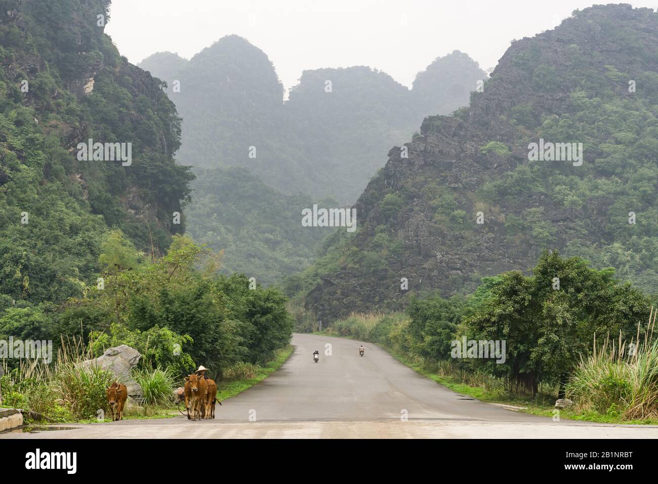 Vietnam Trang An Landscape Complex - Massif De Limestone (Karst) De Trang An Dans La Province De Ninh Binh Du Nord Vietnam, Asie Du Sud-Est. Banque D'Images