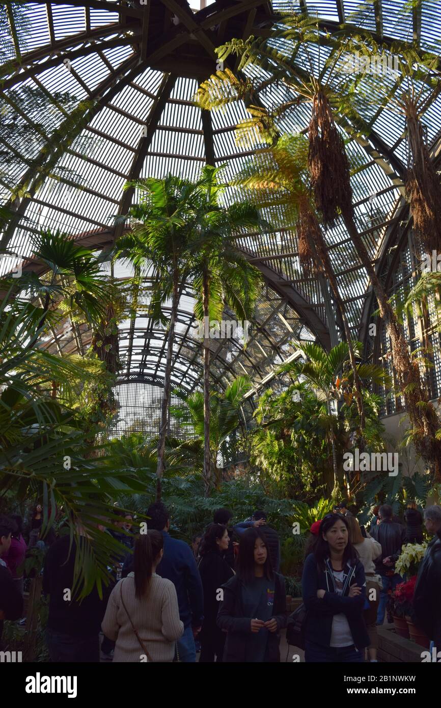 Le dôme du Balboa Park Botanical Building depuis le jardin tropical à l'intérieur. Banque D'Images