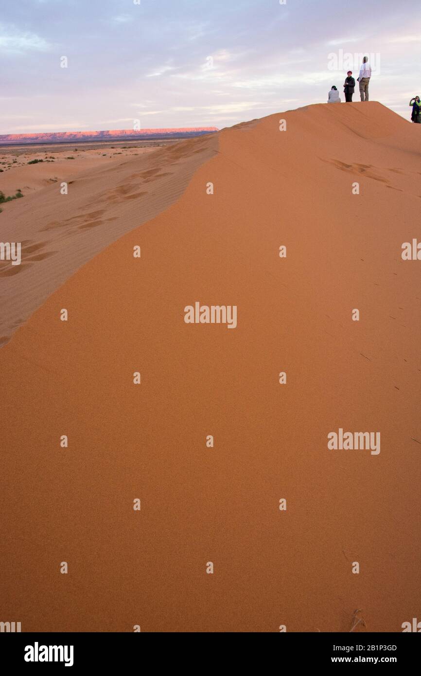 Excursion touristique dans le camp de tentés au Sahara rigueurs, promenades à dos de chameau, visites locales, coucher de soleil et lever de soleil, repas et plus encore Banque D'Images