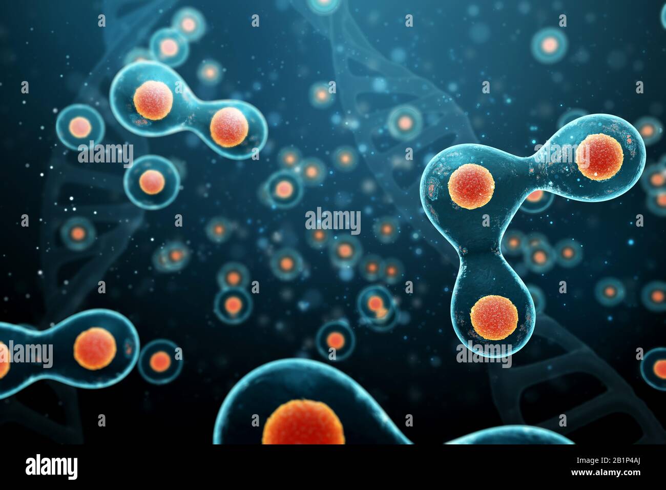 Division cellulaire sur fond bleu foncé. rendu tridimensionnel. Banque D'Images