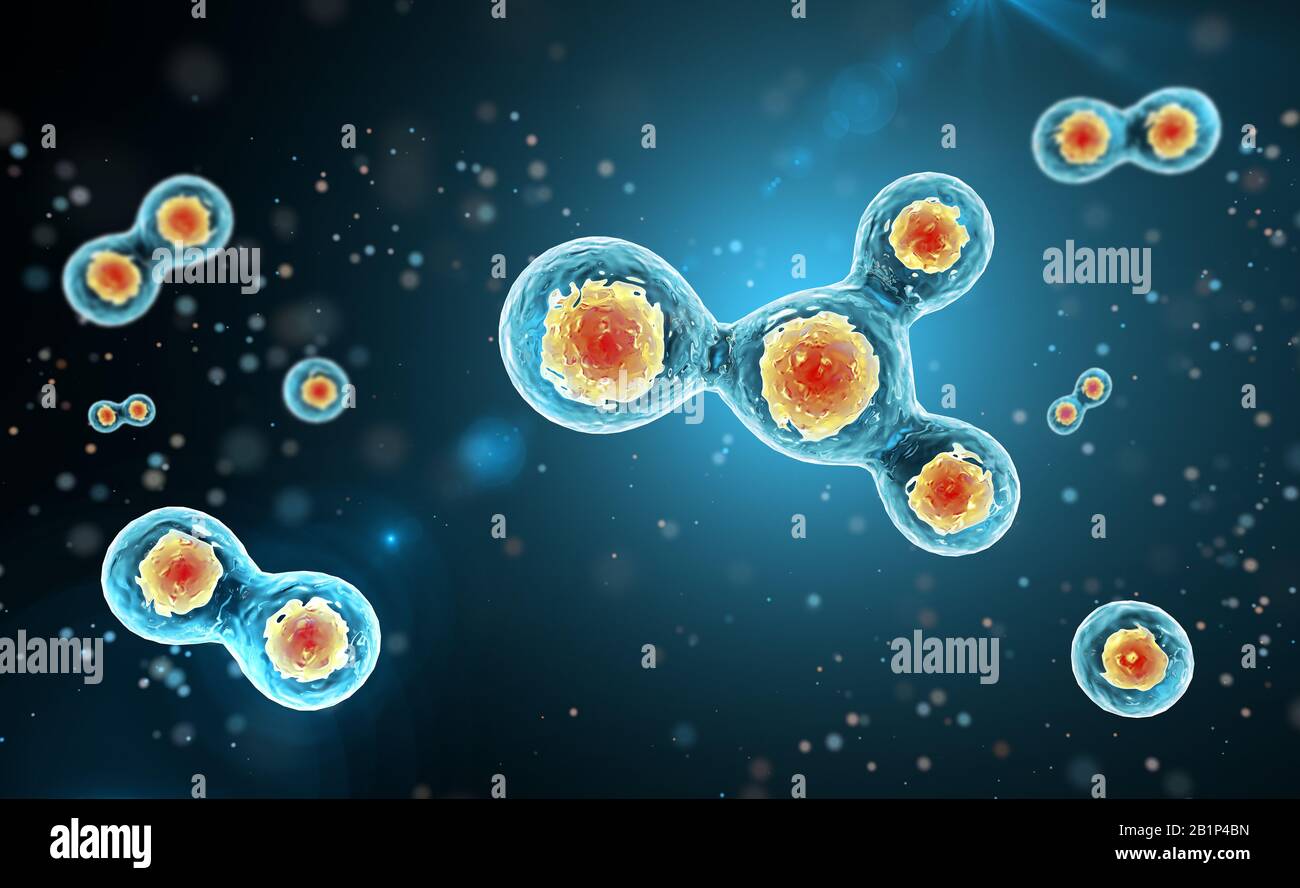 Division cellulaire sur fond bleu foncé. rendu tridimensionnel. Banque D'Images