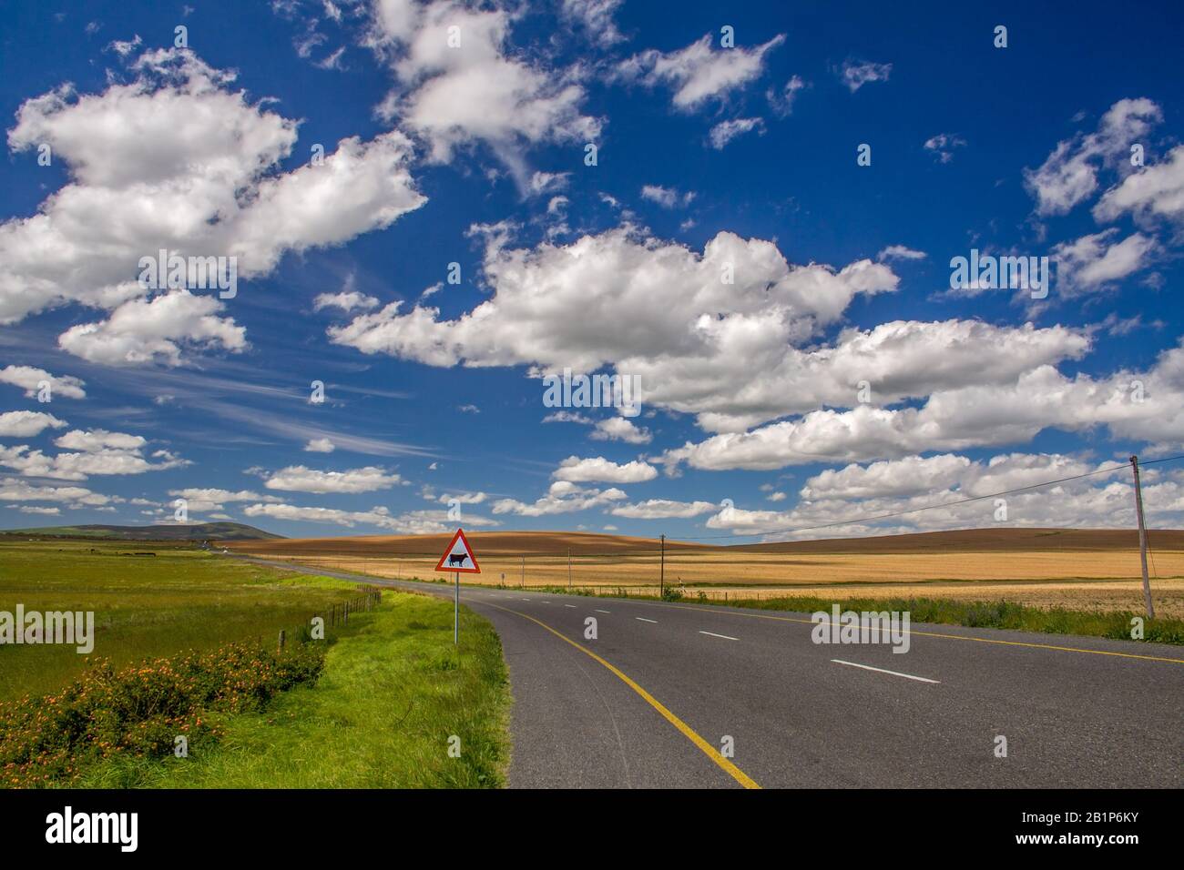 route de campagne vide à travers les terres agricoles avec nuages et ciel bleu en afrique du sud Banque D'Images