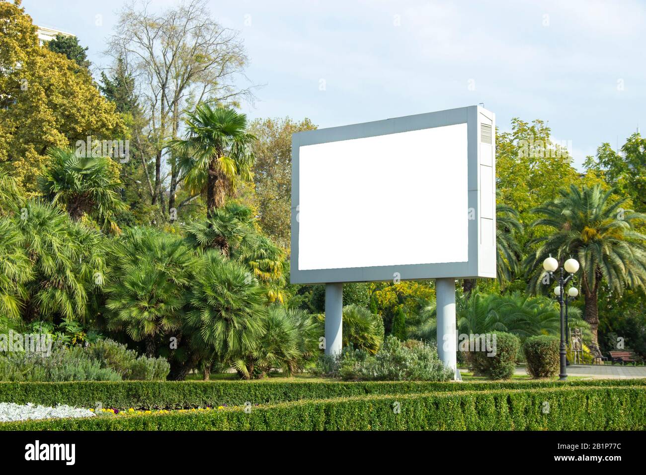 Affiche vierge du panneau d'affichage dans le parc sur le fond des plantes tropicales. Bannière d'information, copier l'espace pour le texte. Banque D'Images